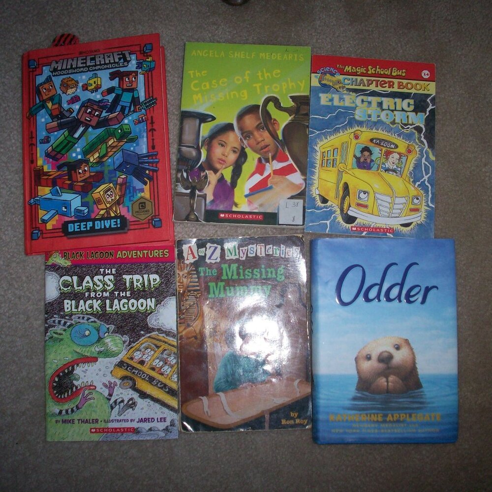 Scholastic Book Lot Minecraft Deep Dive Magic School Bus Odder AZ Mysteries 6 pc